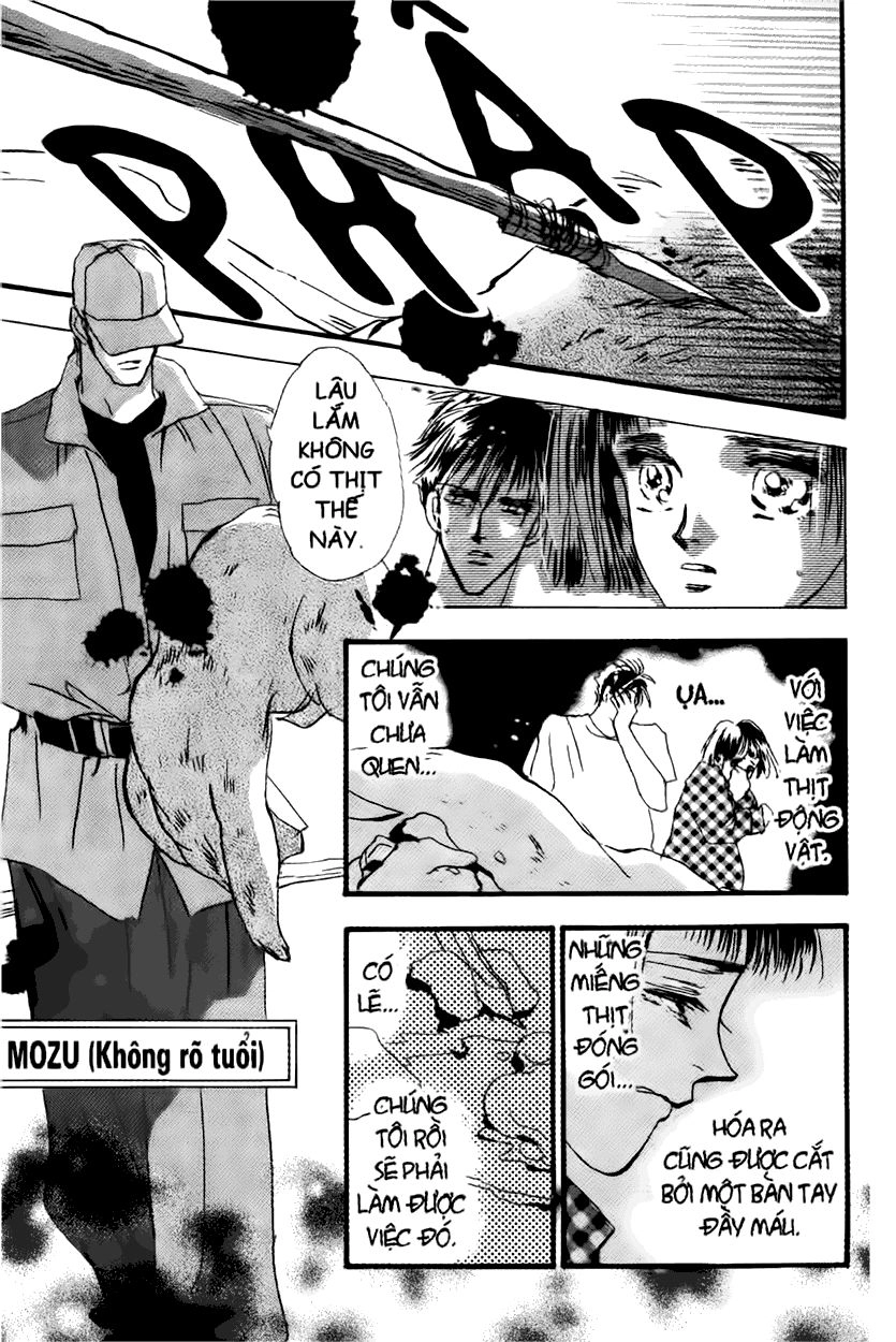 Mầm Sống Chapter 10 - 13