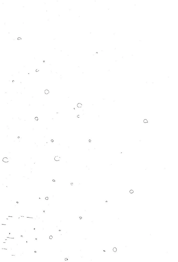 Mầm Sống Chapter 18 - 29