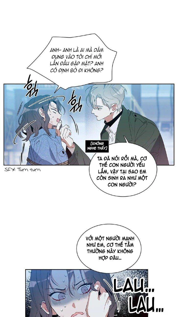 Angel's Use Chapter 1 - 40