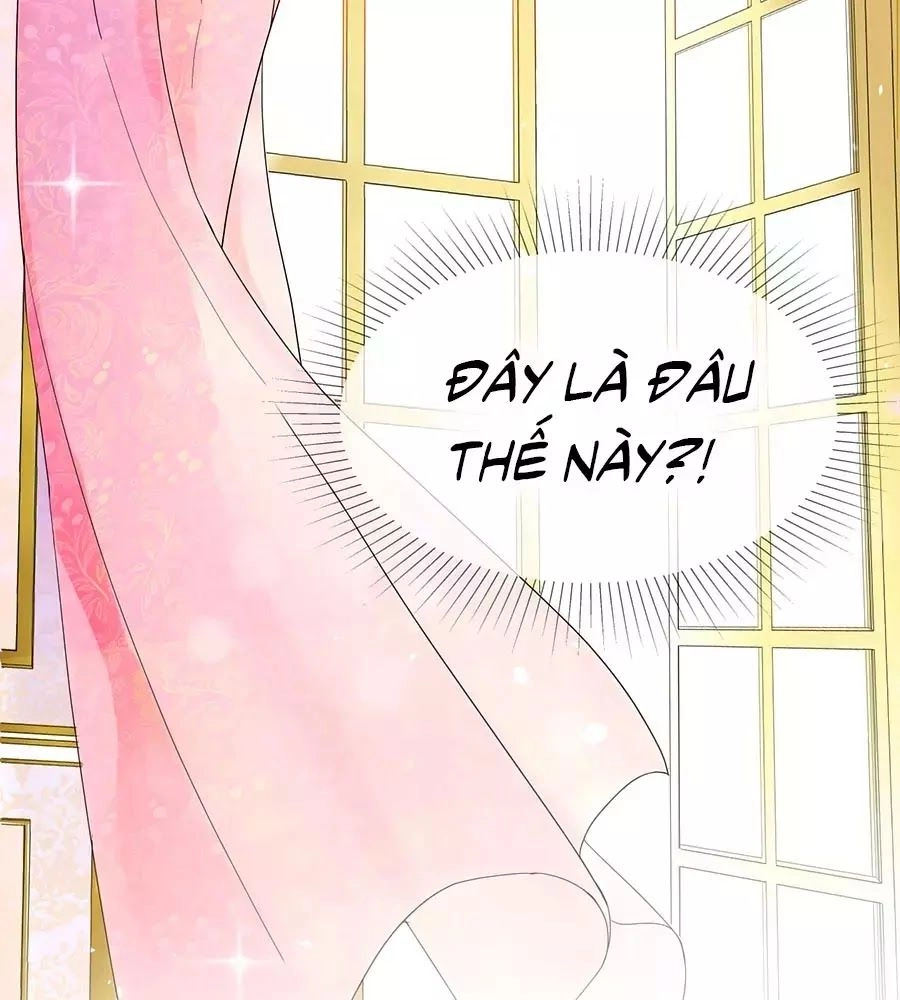 Kế Hoạch Sống Còn Của Công Chúa Nữ Phụ Chapter 1 - 25