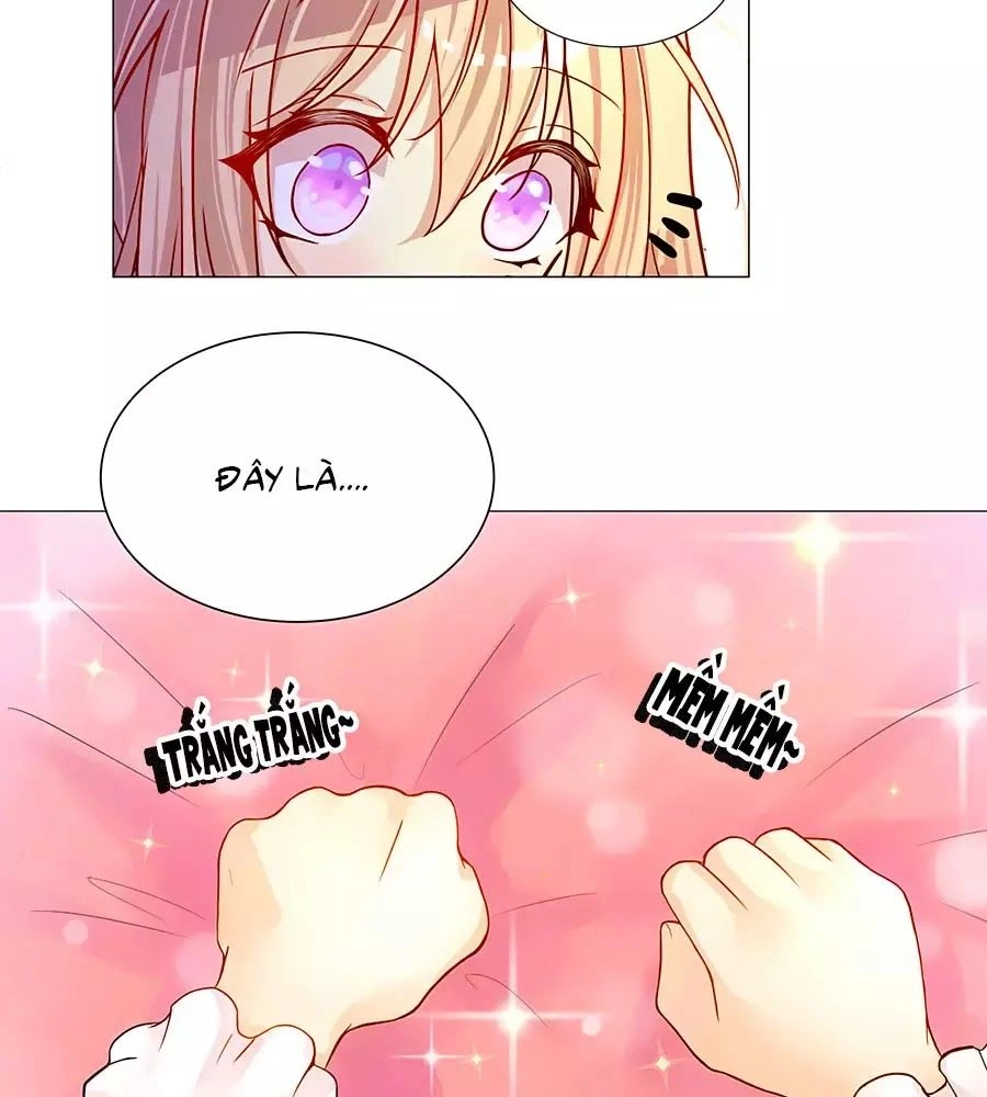 Kế Hoạch Sống Còn Của Công Chúa Nữ Phụ Chapter 1 - 29