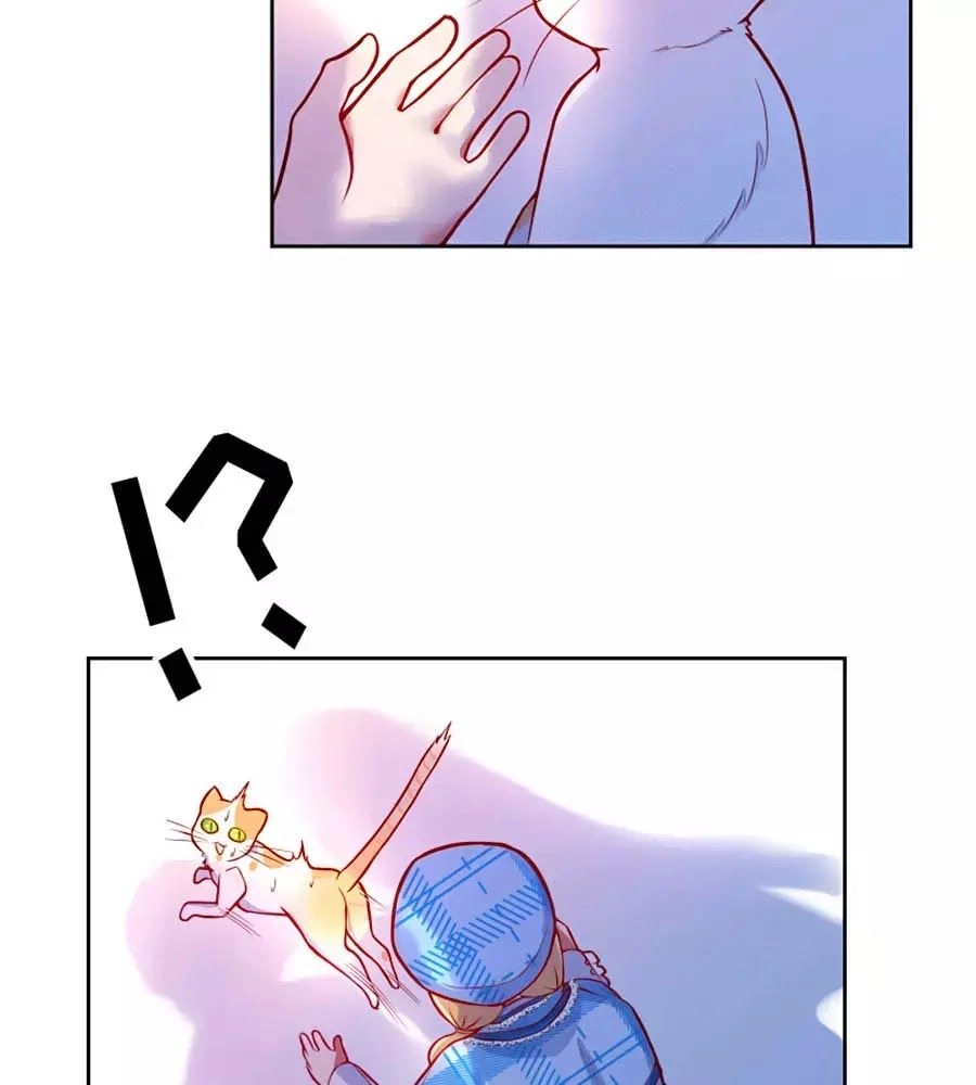 Kế Hoạch Sống Còn Của Công Chúa Nữ Phụ Chapter 11 - 46