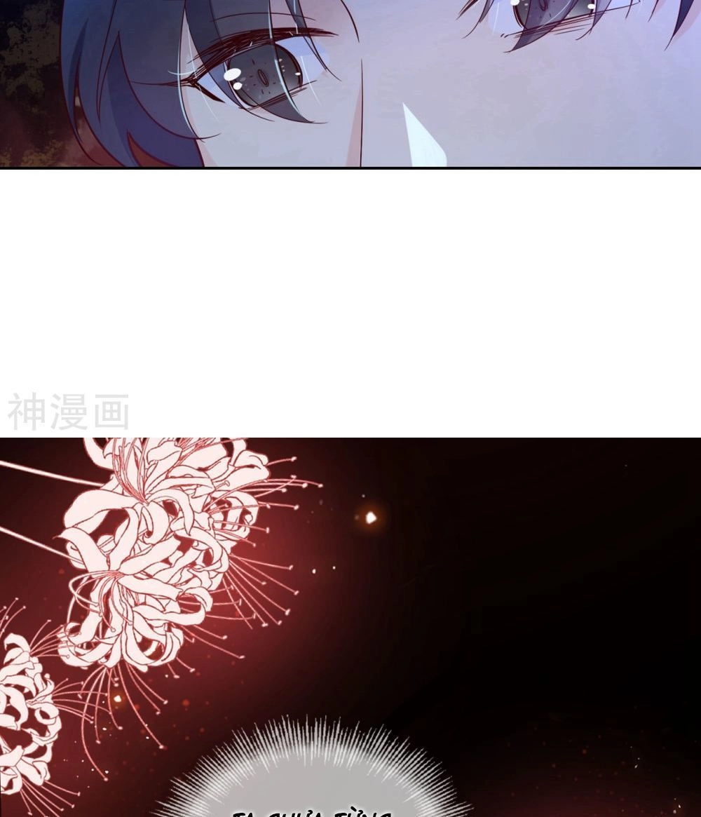 Dòng Máu Ngọt Ngào Chapter 14 - 29