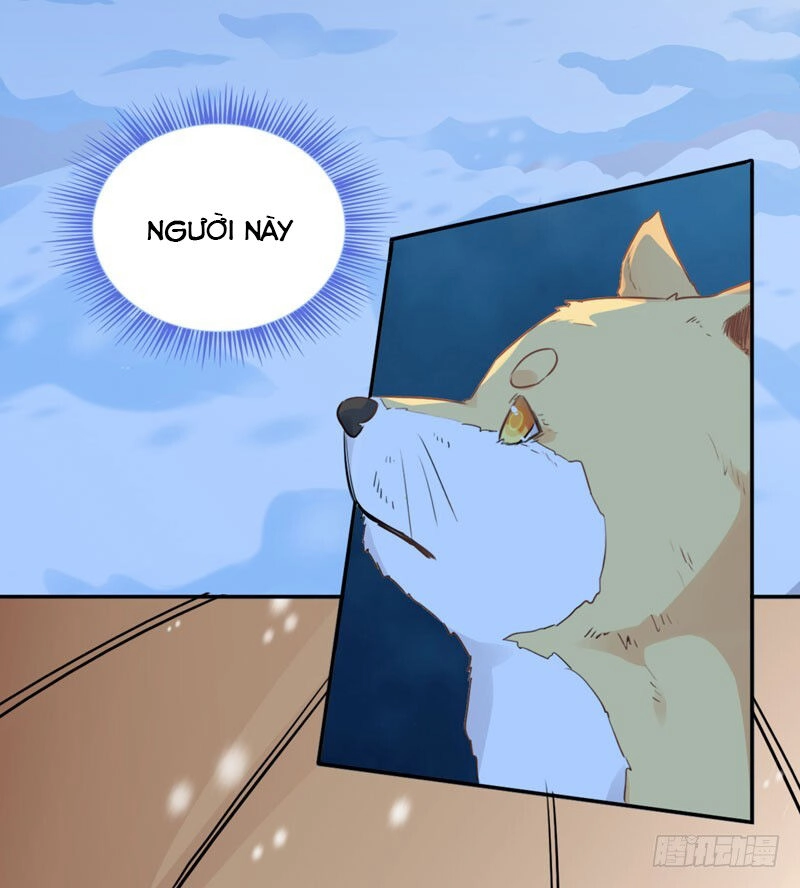 Lụ Đạn, Hôm Nay Lại Cũng Không Thể Biến Thành Người Được Chapter 1 - 51