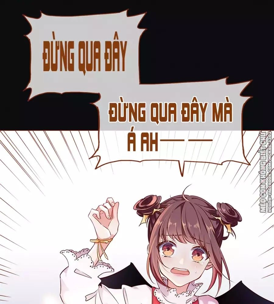 Boss Khủng Bố Chiếm Đoạt Ta Chapter 1 - 12