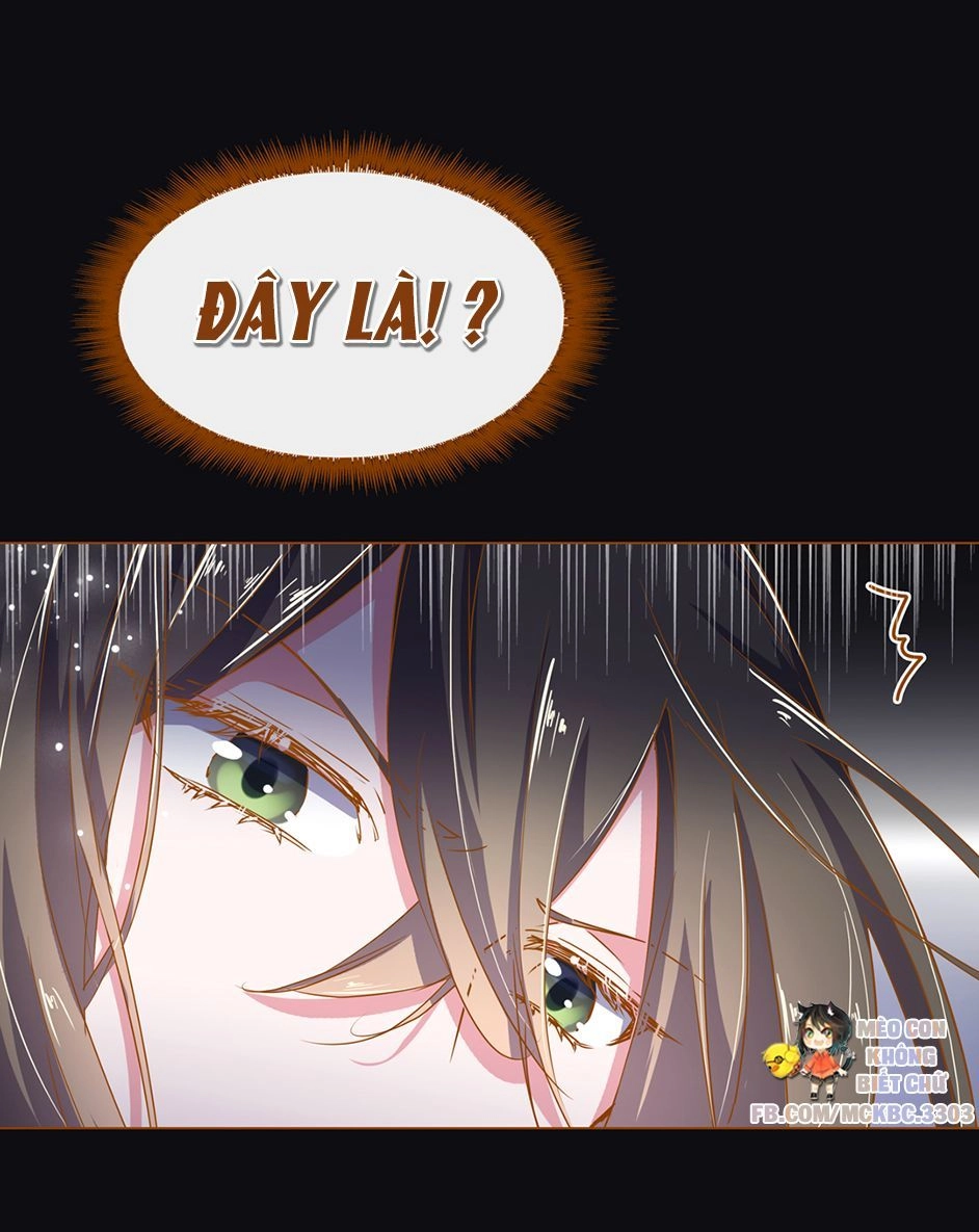 Boss Khủng Bố Chiếm Đoạt Ta Chapter 5 - 24