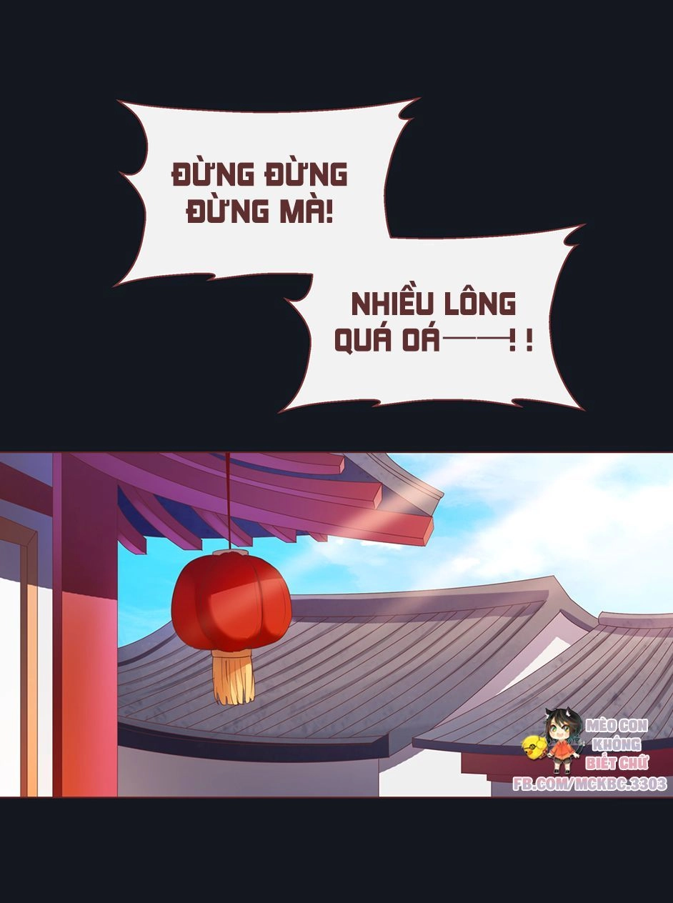 Boss Khủng Bố Chiếm Đoạt Ta Chapter 7 - 19