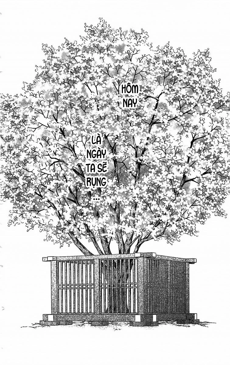 Torikae Baya Chapter 23 - 2