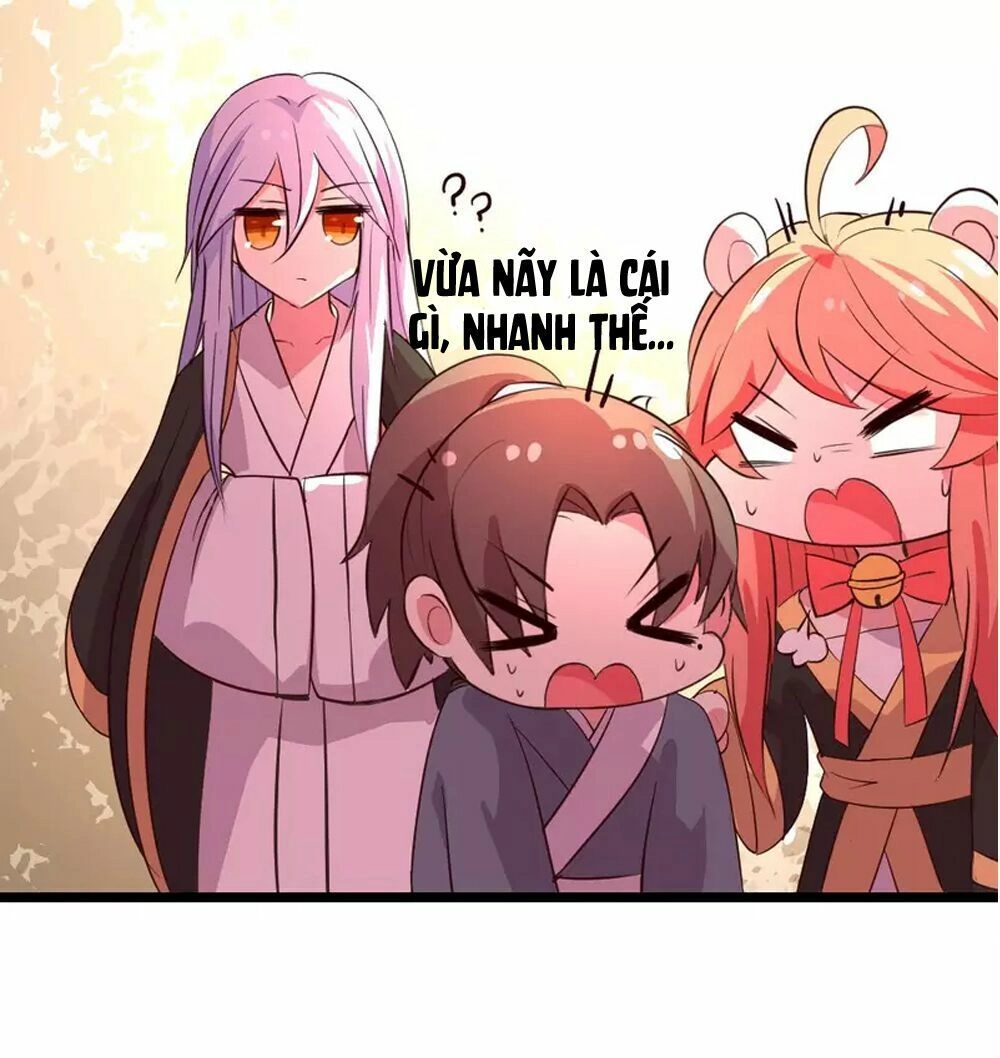 Đệ Tử Của Ta Là Heo Chapter 8 - 18