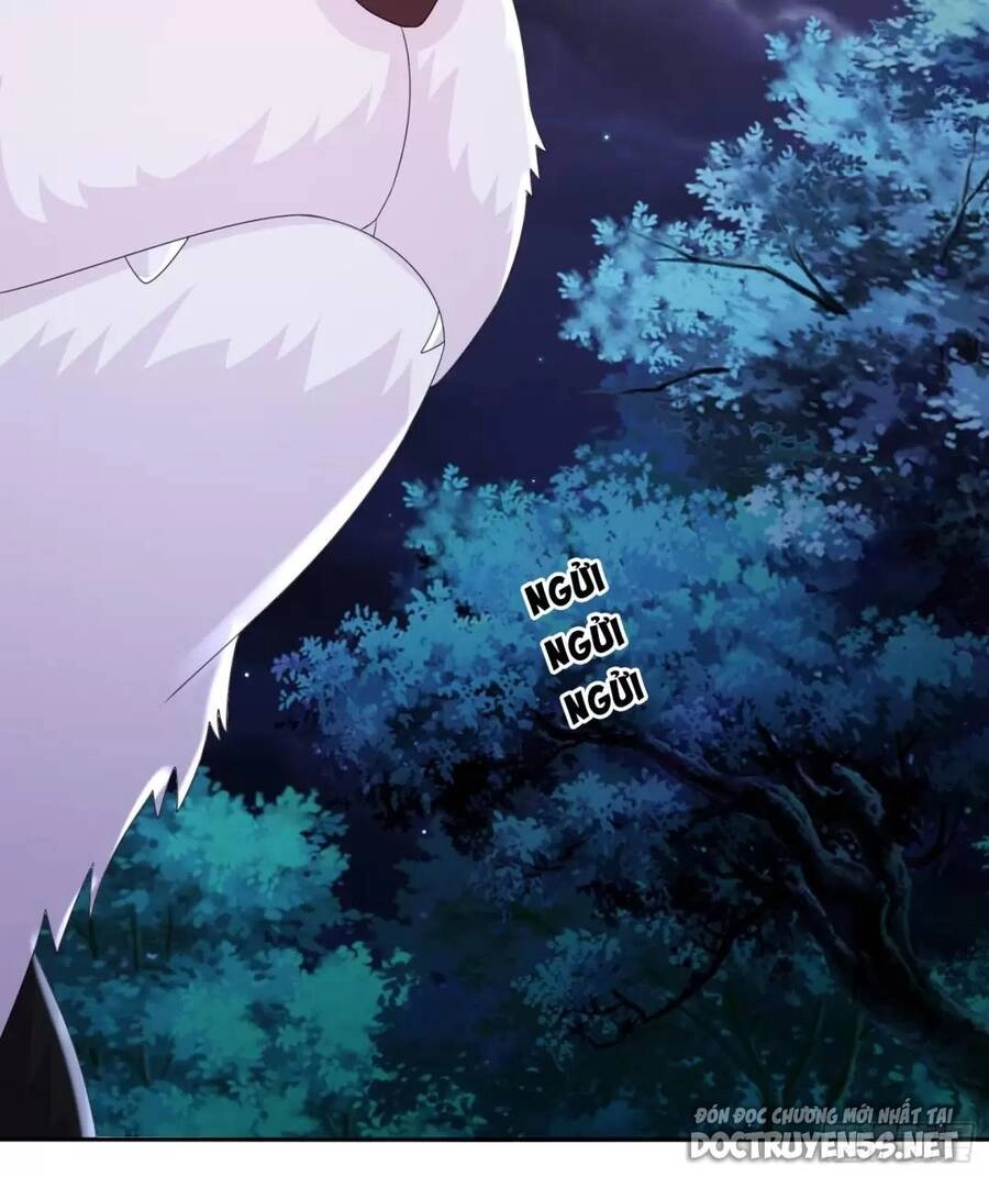 Bắt Đầu Có Được Bảy Vị Tuyệt Sắc Sư Tỷ Chapter 36 - 19