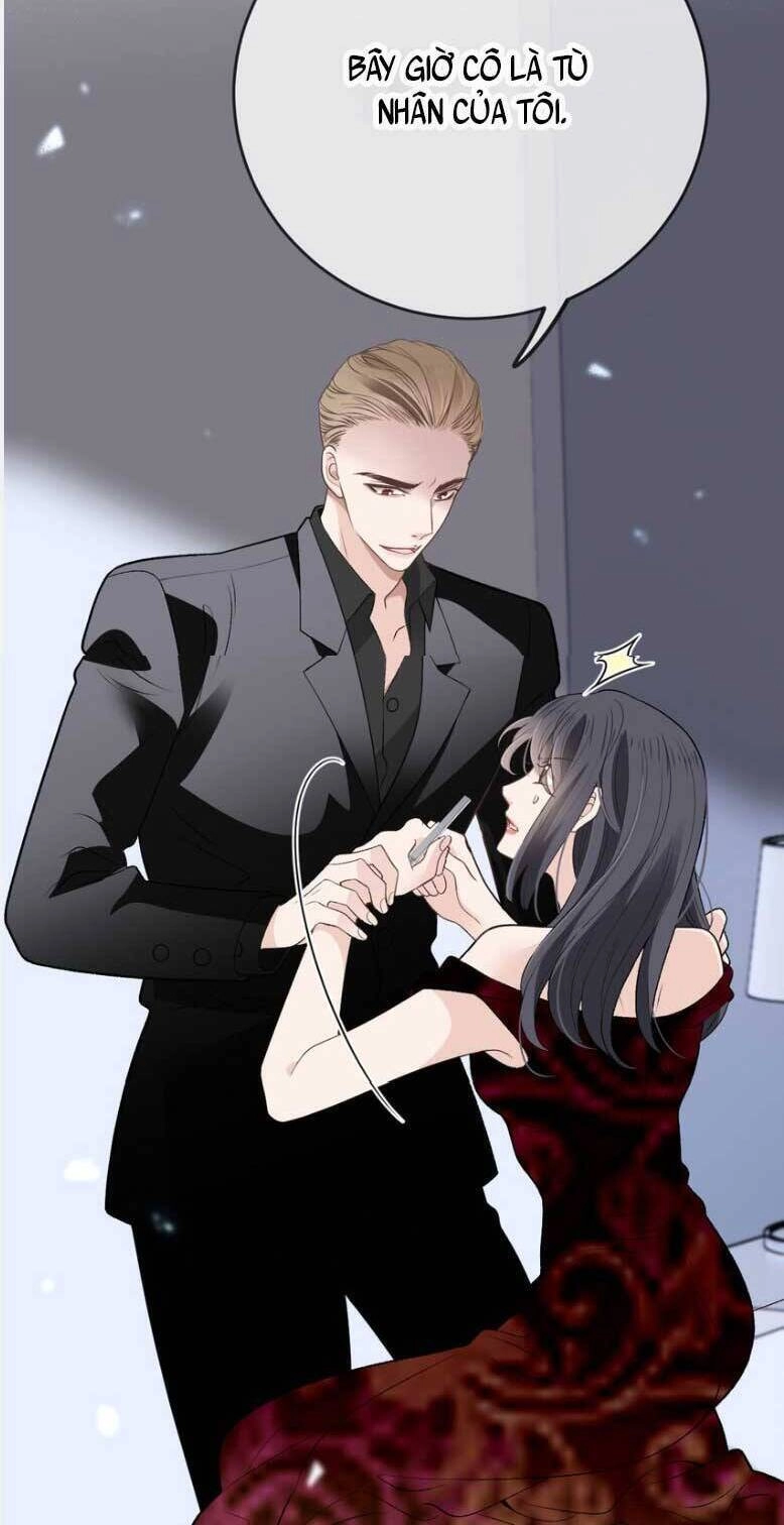 Cô Vợ Mang Thai Một Tặng Một Chapter 267 - 13