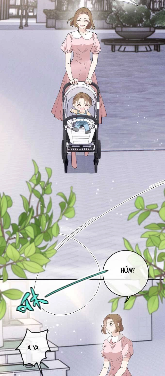 Cô Vợ Mang Thai Một Tặng Một Chapter 268 - 10