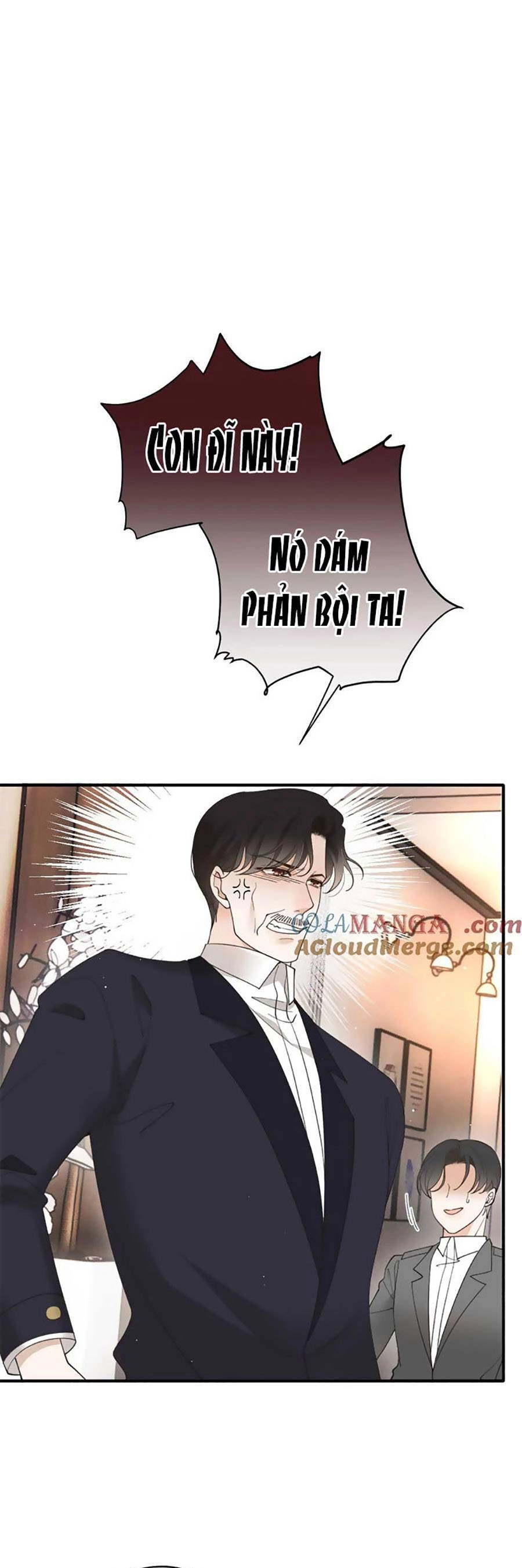 Cô Vợ Mang Thai Một Tặng Một Chapter 294 - 17