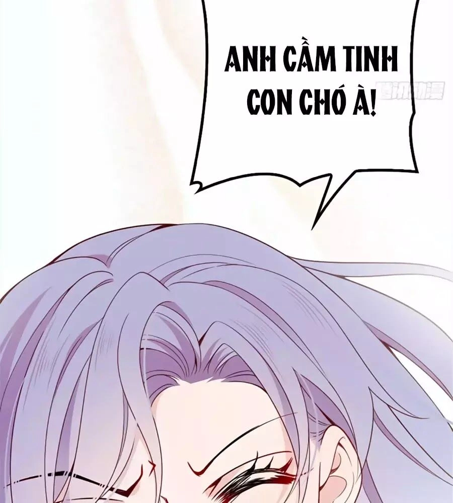 Cô Vợ Mang Thai Một Tặng Một Chapter 16 - 17