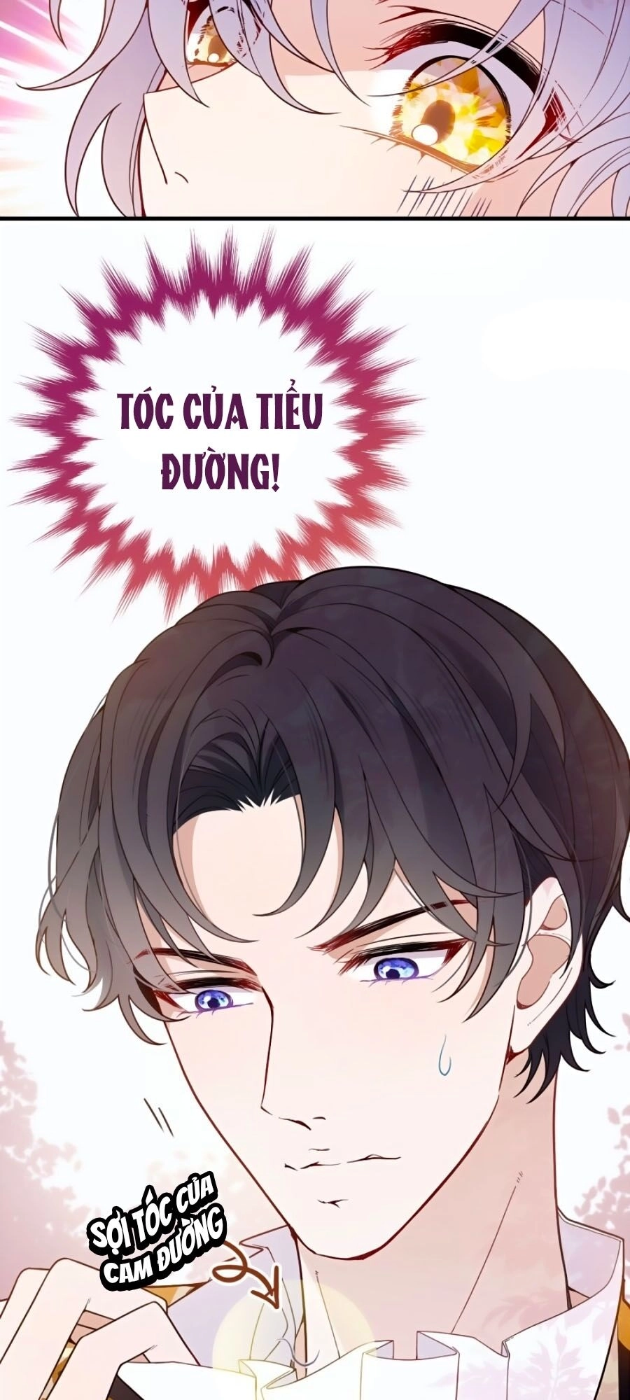 Cô Vợ Mang Thai Một Tặng Một Chapter 29 - 33