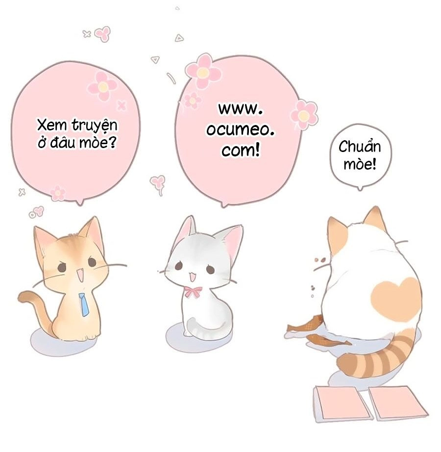 Cô Vợ Mang Thai Một Tặng Một Chapter 47 - 40