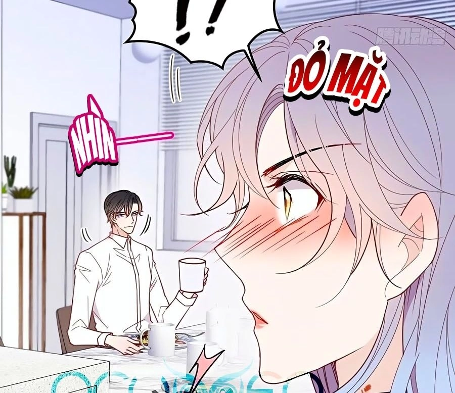 Cô Vợ Mang Thai Một Tặng Một Chapter 67 - 22