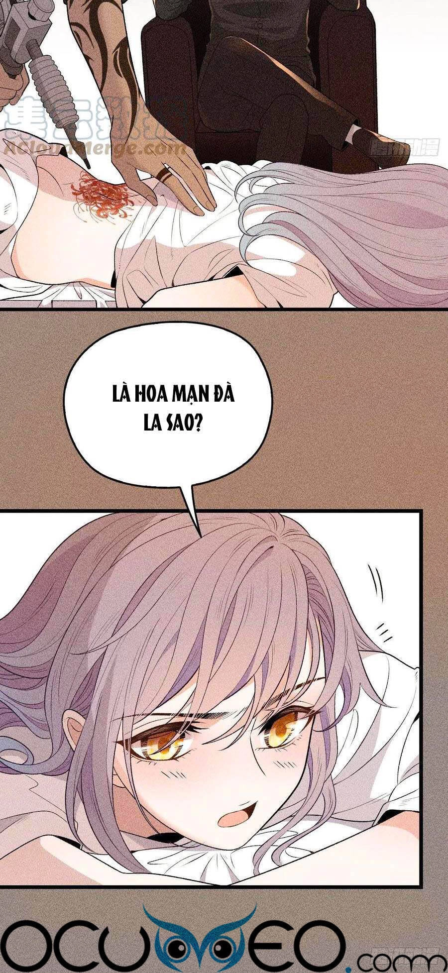 Cô Vợ Mang Thai Một Tặng Một Chapter 110 - 6