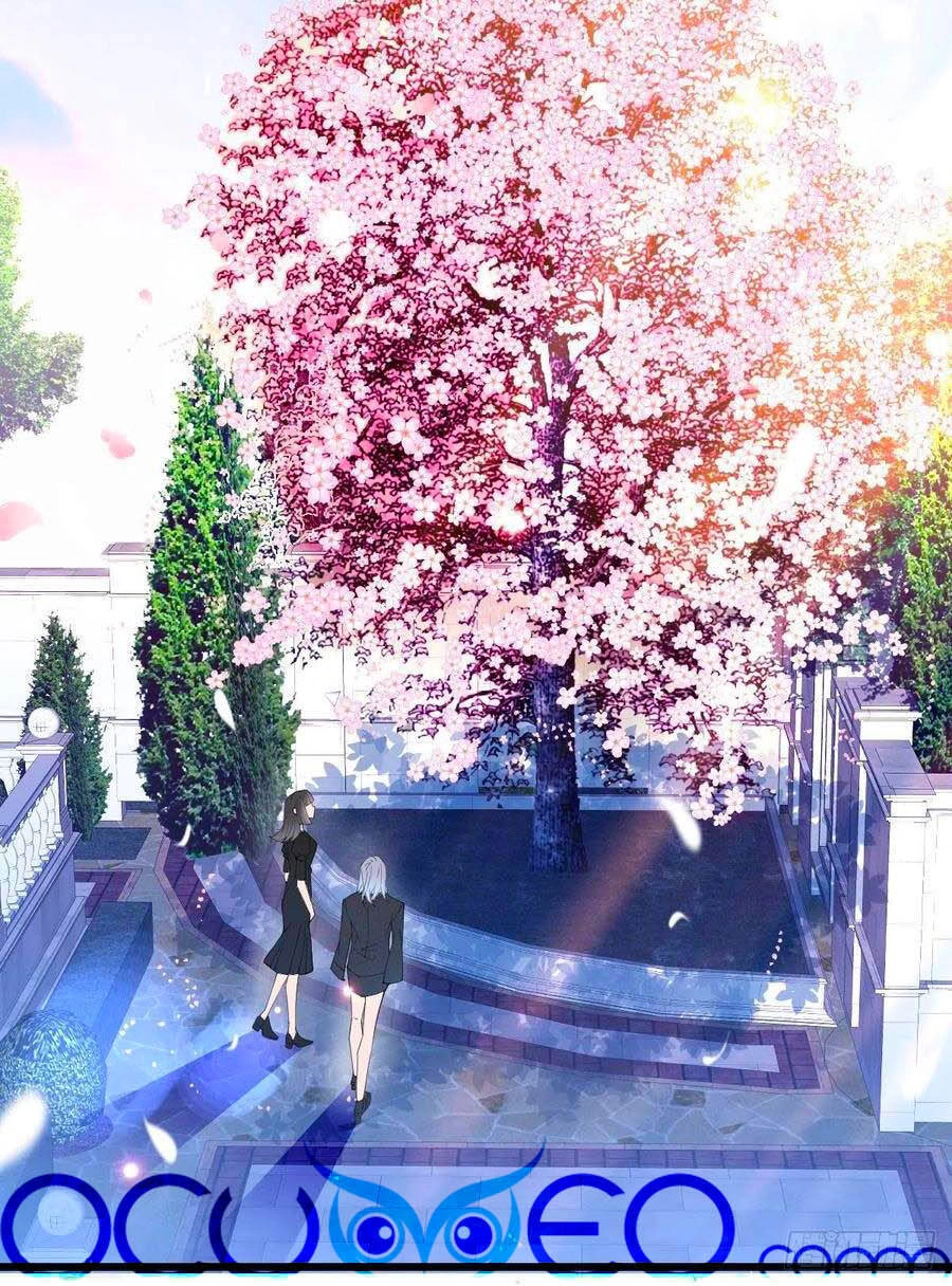 Cô Vợ Mang Thai Một Tặng Một Chapter 111 - 17