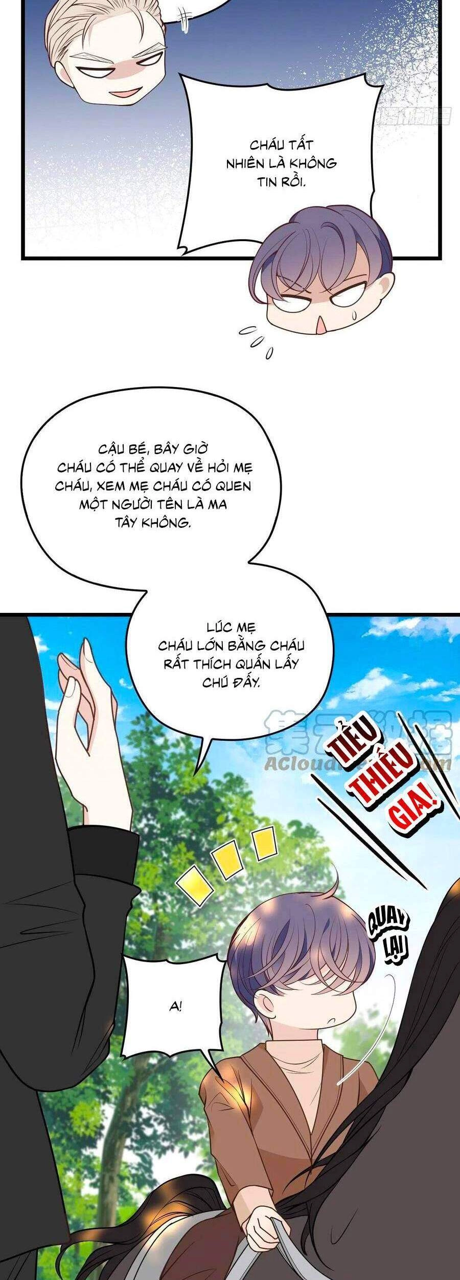 Cô Vợ Mang Thai Một Tặng Một Chapter 145 - 15