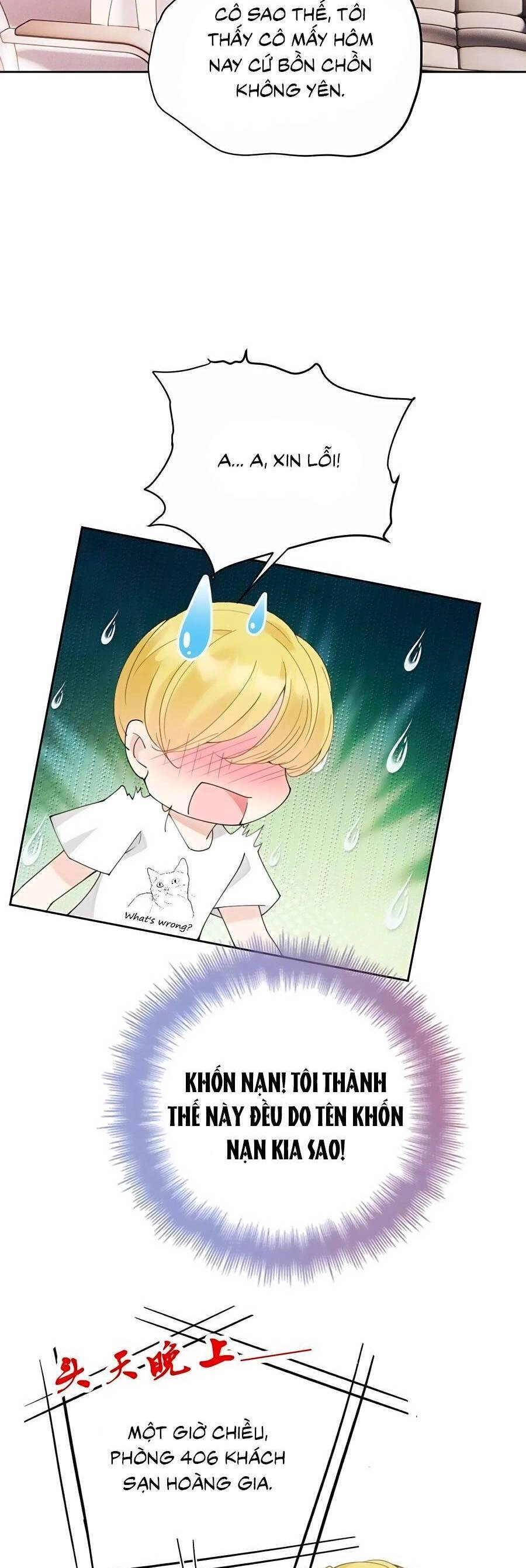 Cô Vợ Mang Thai Một Tặng Một Chapter 213 - 5