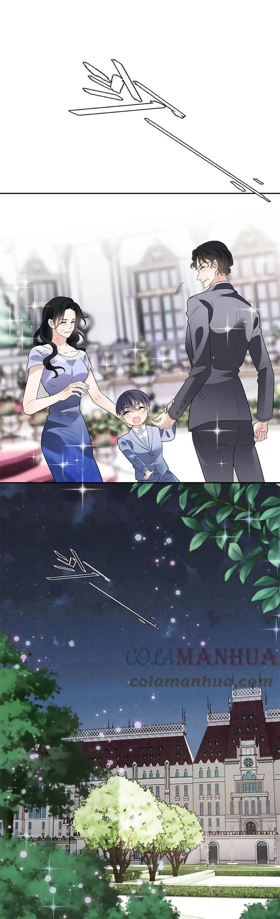 Cô Vợ Mang Thai Một Tặng Một Chapter 243 - 12