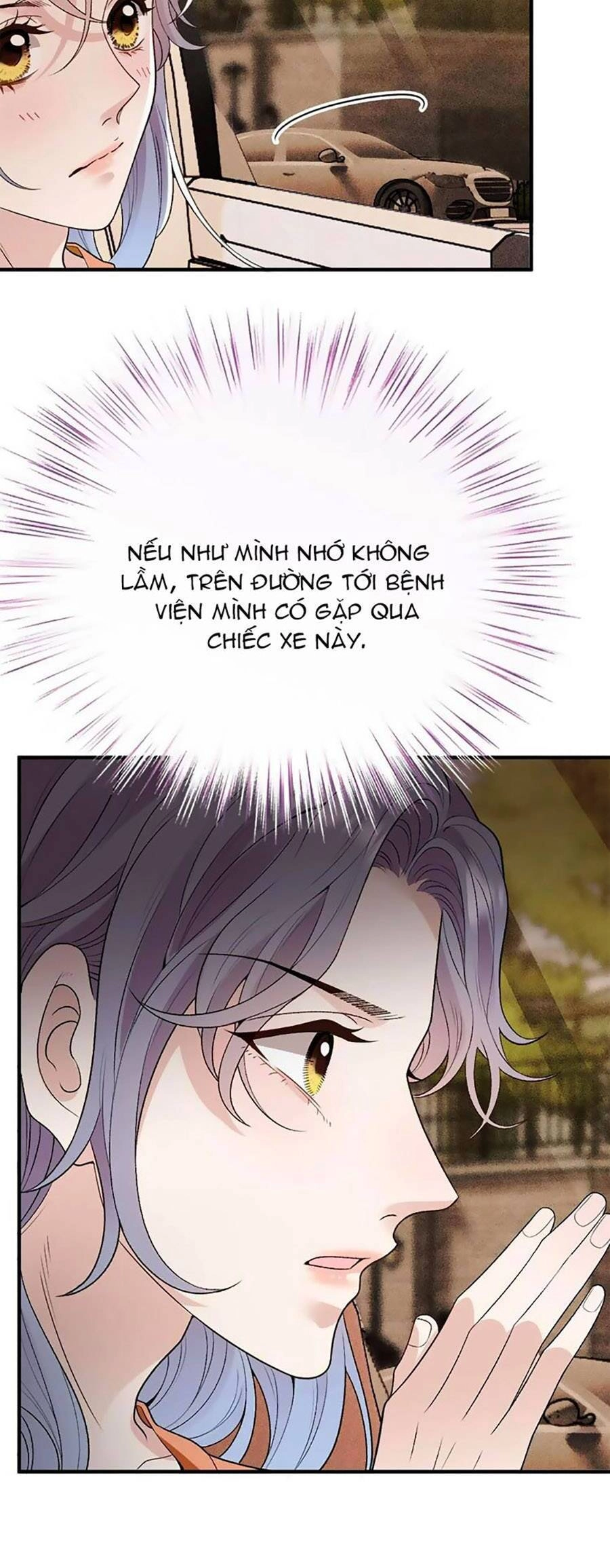 Cô Vợ Mang Thai Một Tặng Một Chapter 247 - 16