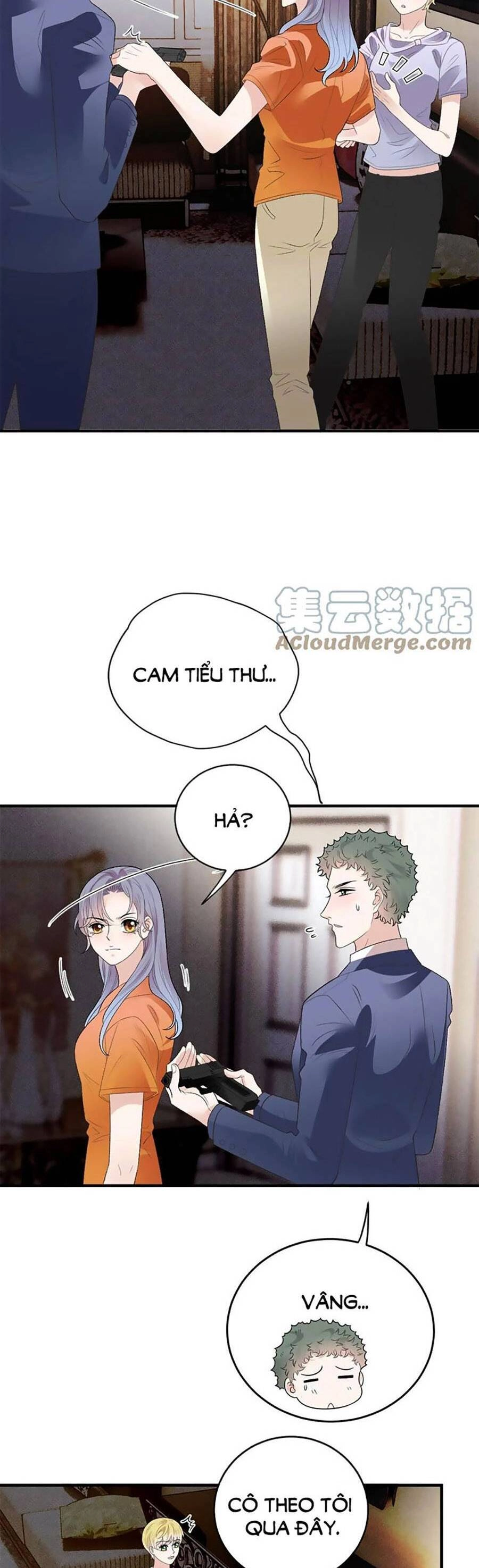 Cô Vợ Mang Thai Một Tặng Một Chapter 248 - 16