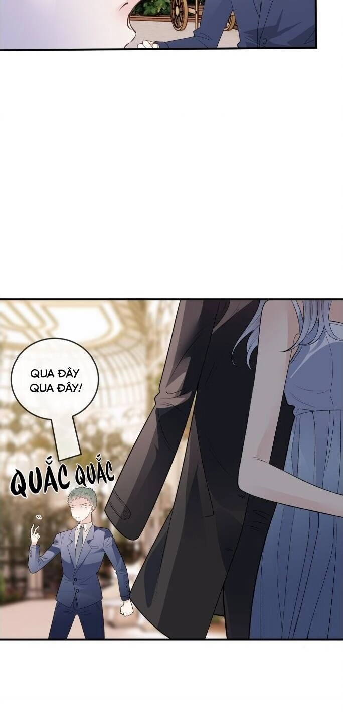 Cô Vợ Mang Thai Một Tặng Một Chapter 257 - 16