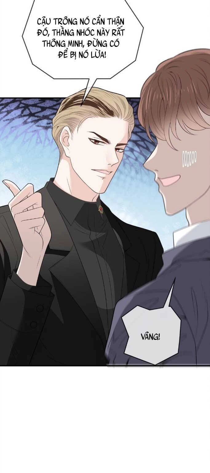 Cô Vợ Mang Thai Một Tặng Một Chapter 264 - 5