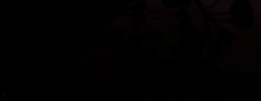 Điềm Mỹ Chi Huyết Chapter 5 - 24