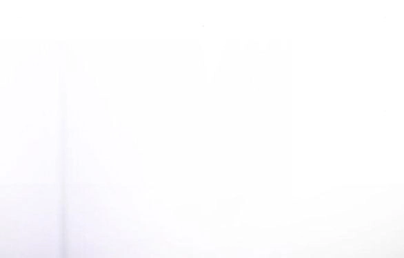 Cách Hiệp Sĩ Sống Như Một Tiểu Thư Quyền Quý Chapter 93.2 - 32