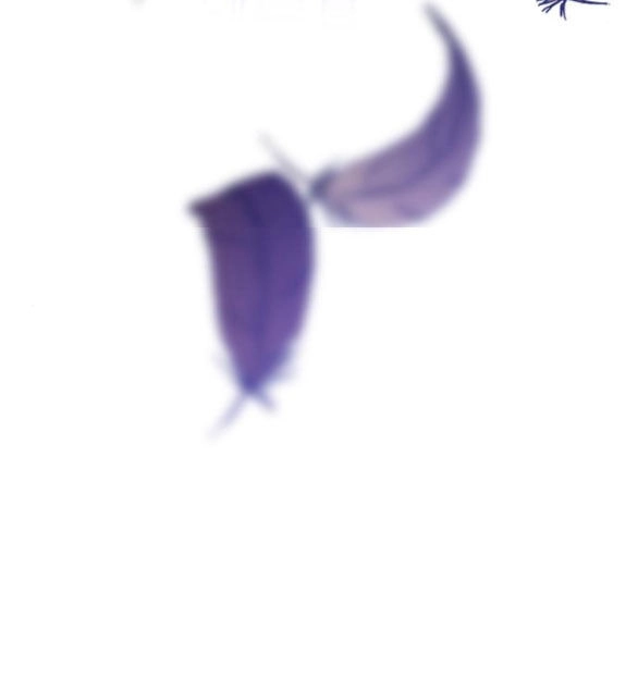 Cách Hiệp Sĩ Sống Như Một Tiểu Thư Quyền Quý Chapter 93.2 - 40