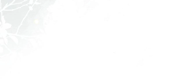 Cách Hiệp Sĩ Sống Như Một Tiểu Thư Quyền Quý Chapter 97.2 - 9