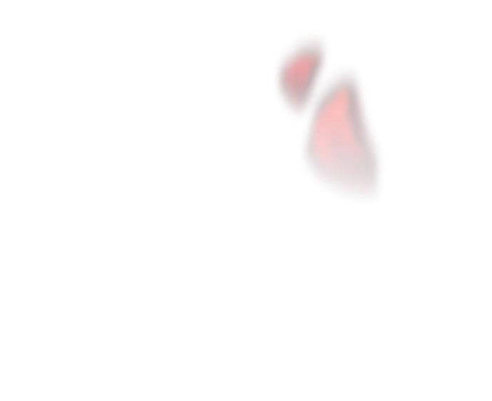 Cách Hiệp Sĩ Sống Như Một Tiểu Thư Quyền Quý Chapter 100.1 - 26