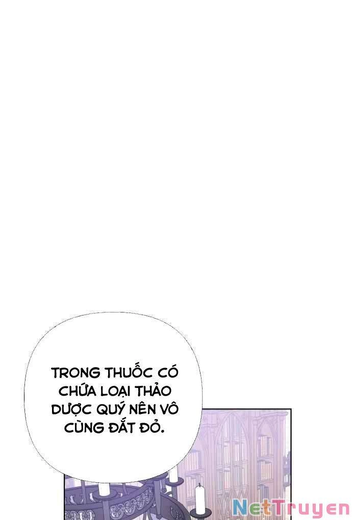 Cách Hiệp Sĩ Sống Như Một Tiểu Thư Quyền Quý Chapter 25 - 43