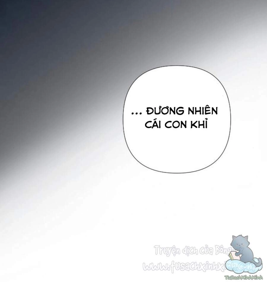 Cách Hiệp Sĩ Sống Như Một Tiểu Thư Quyền Quý Chapter 28 - 31