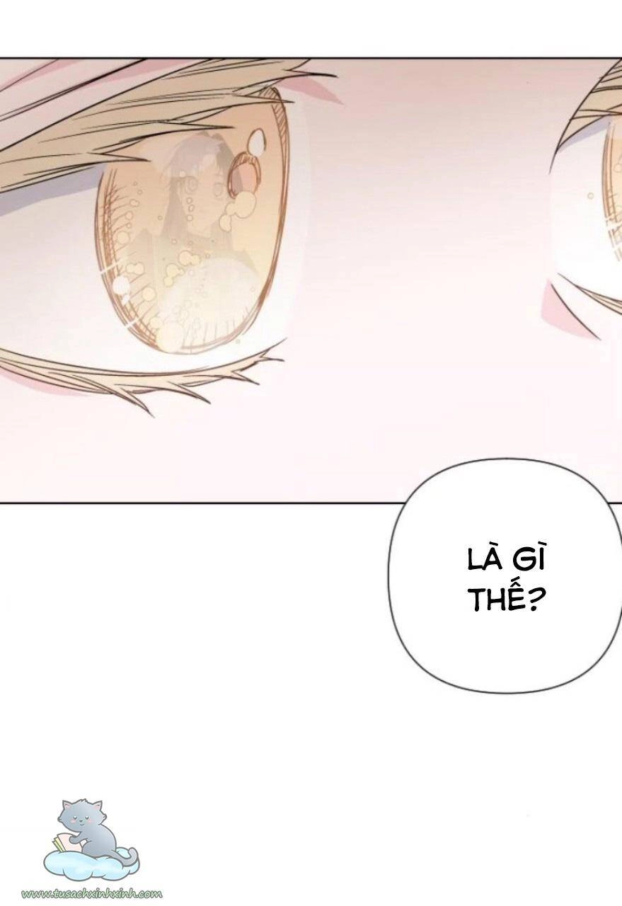 Cách Hiệp Sĩ Sống Như Một Tiểu Thư Quyền Quý Chapter 50 - 72