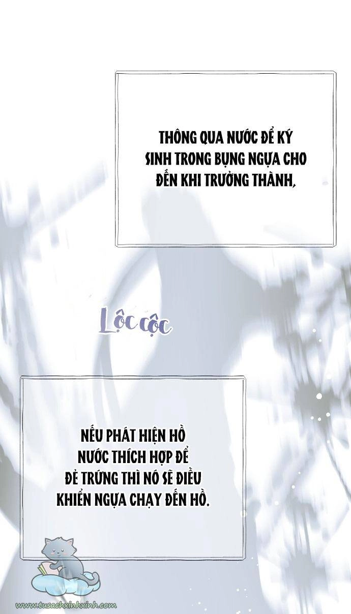 Cách Hiệp Sĩ Sống Như Một Tiểu Thư Quyền Quý Chapter 62 - 9