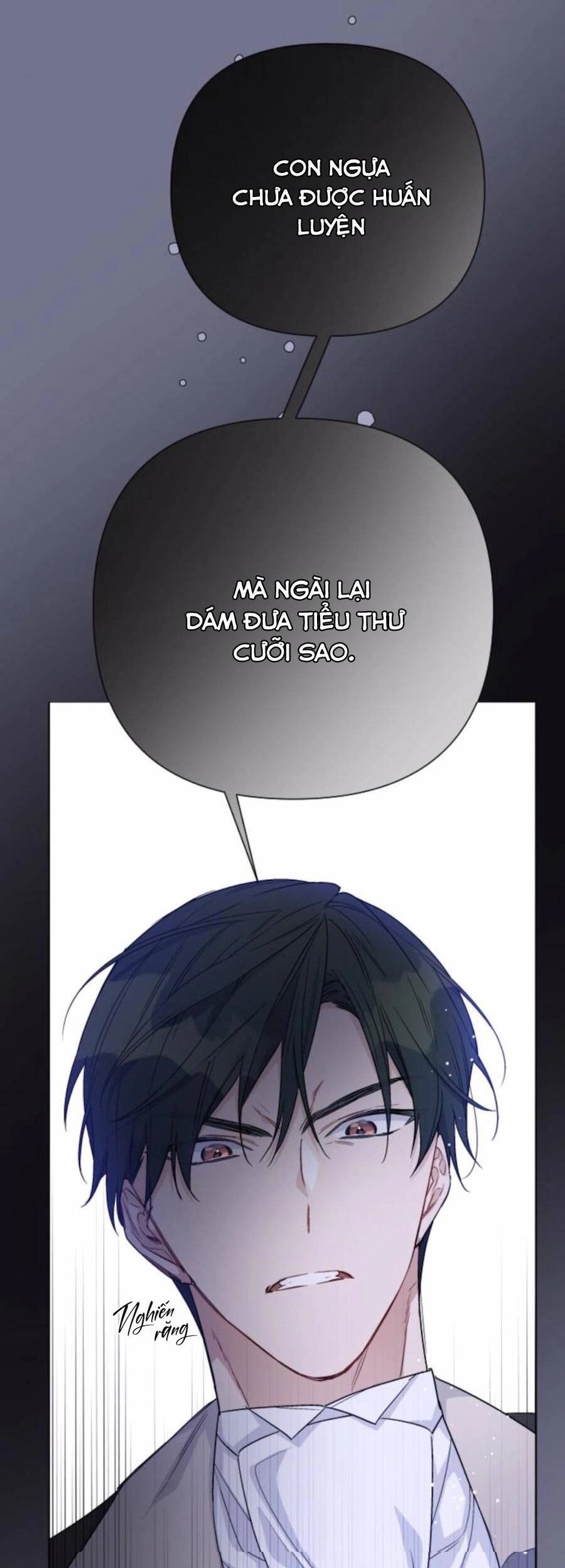 Cách Hiệp Sĩ Sống Như Một Tiểu Thư Quyền Quý Chapter 63 - 25