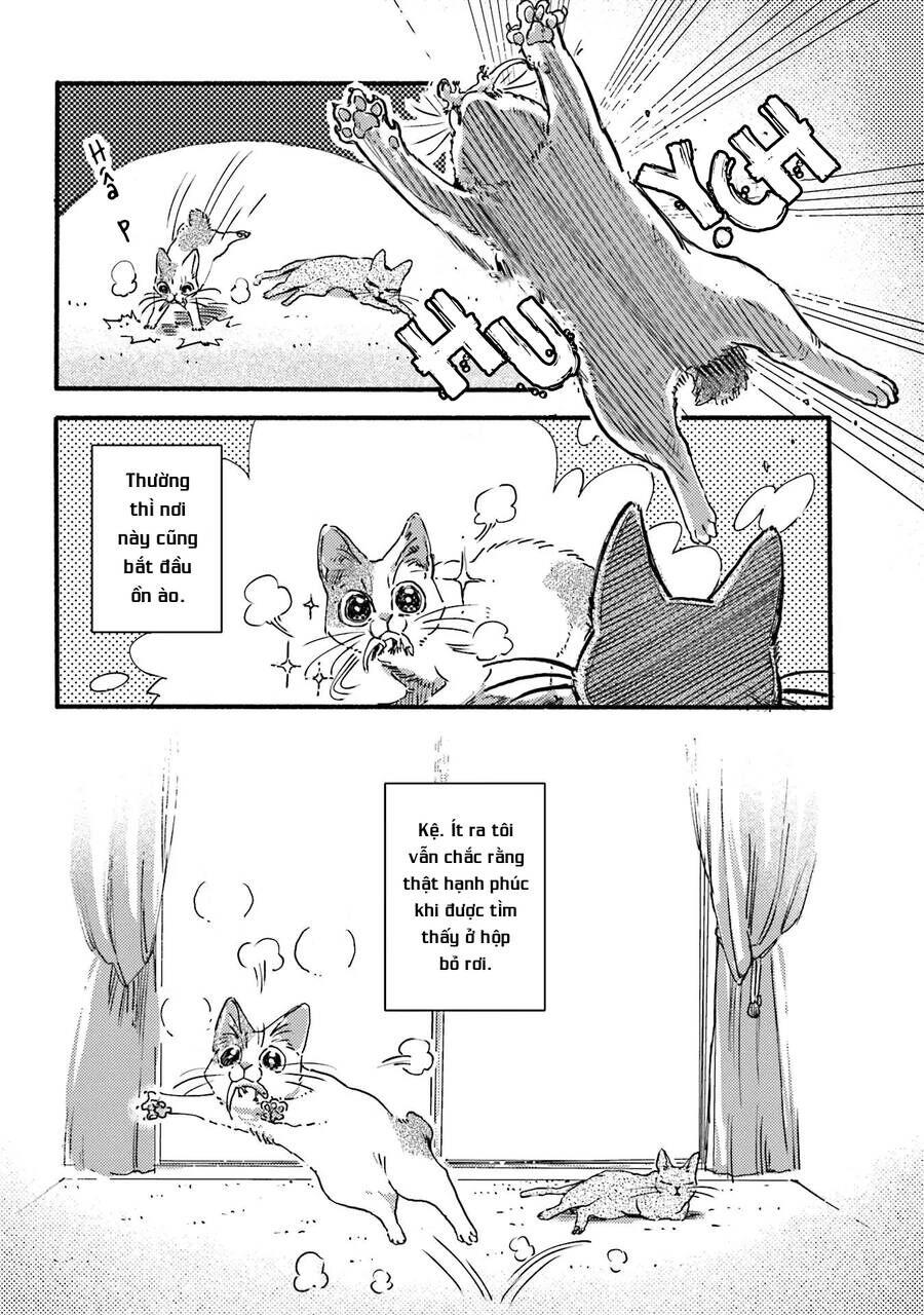 Nekodamari Chapter 2 - 3