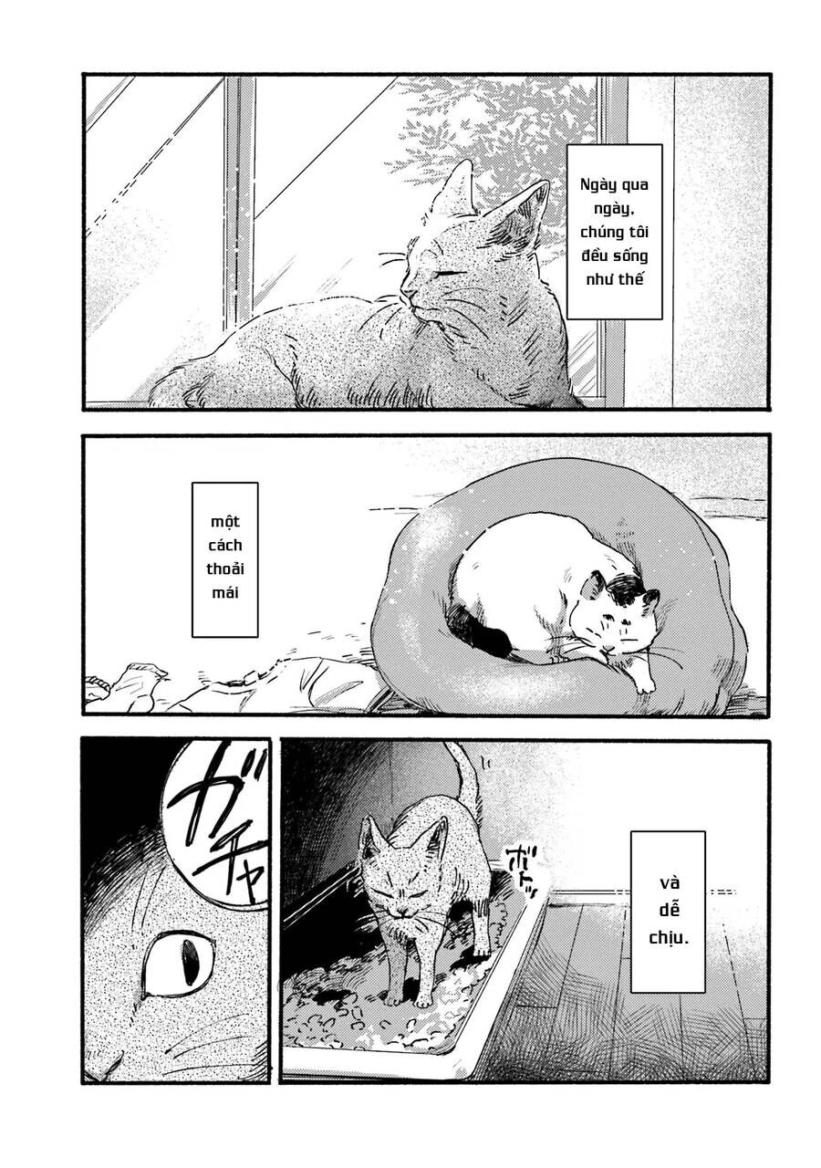 Nekodamari Chapter 2 - 6