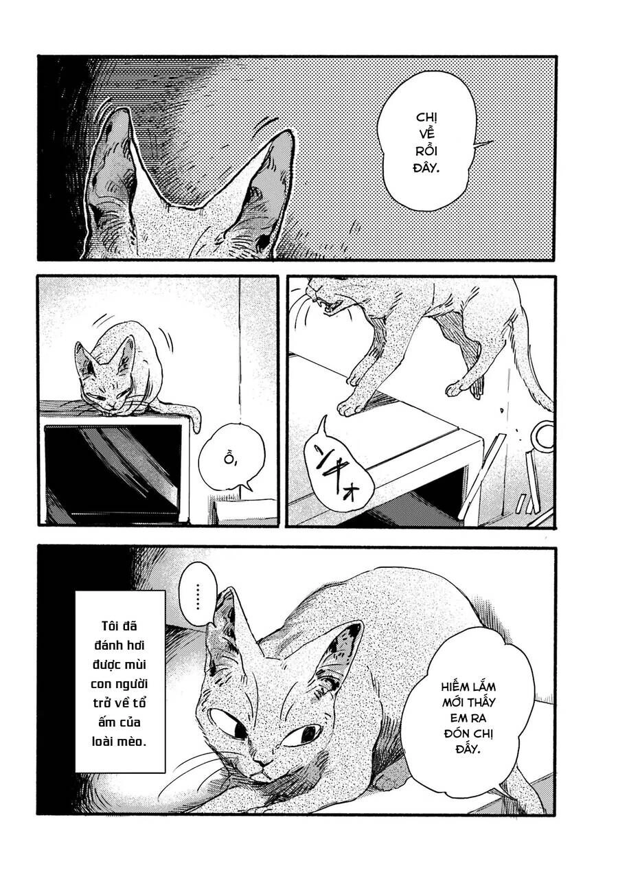 Nekodamari Chapter 2 - 7