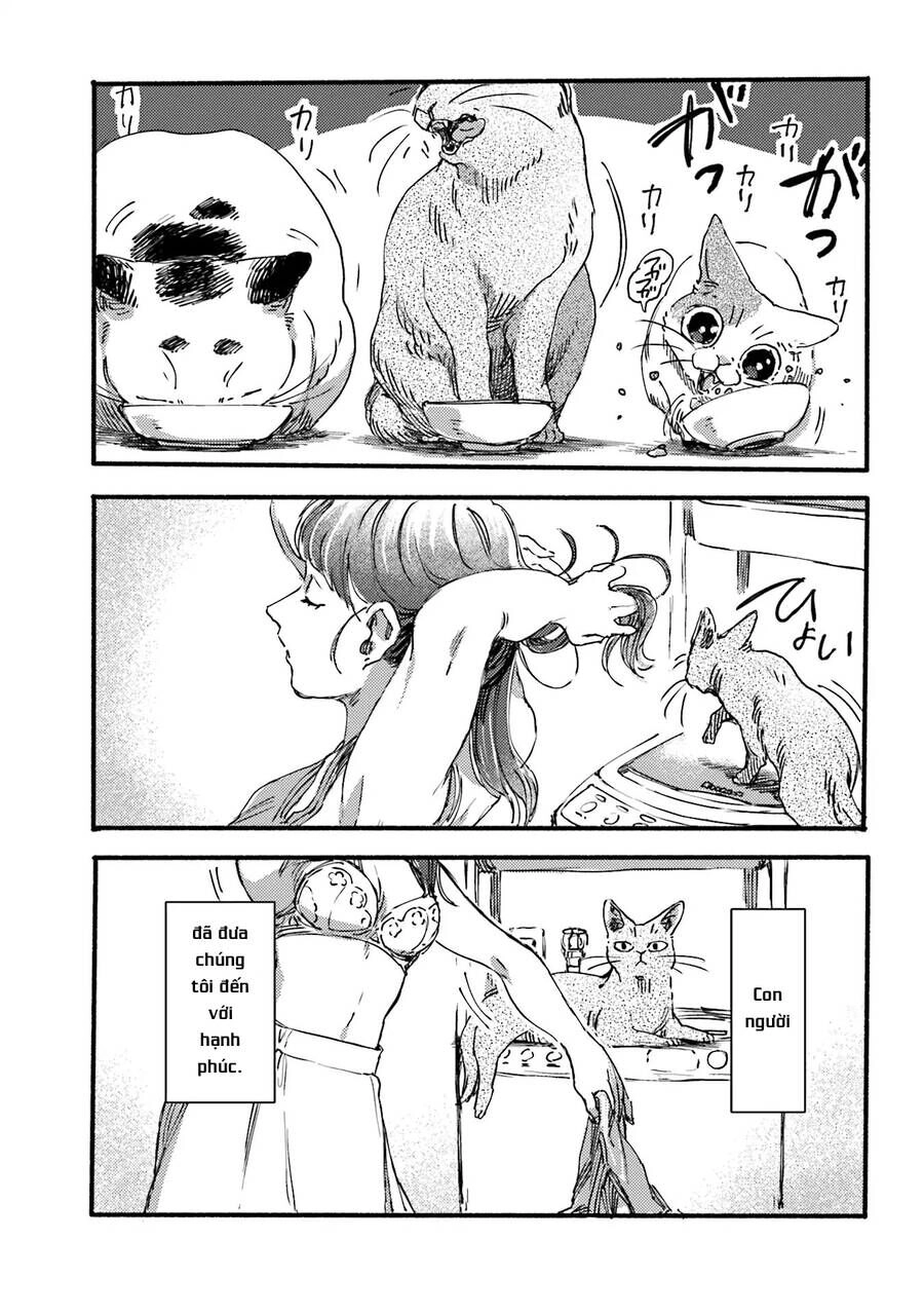 Nekodamari Chapter 2 - 8