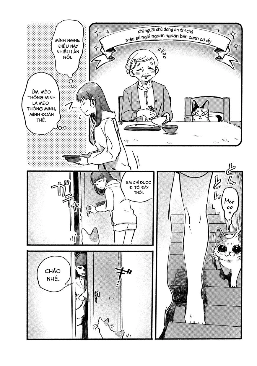 Nekodamari Chapter 13 - 7