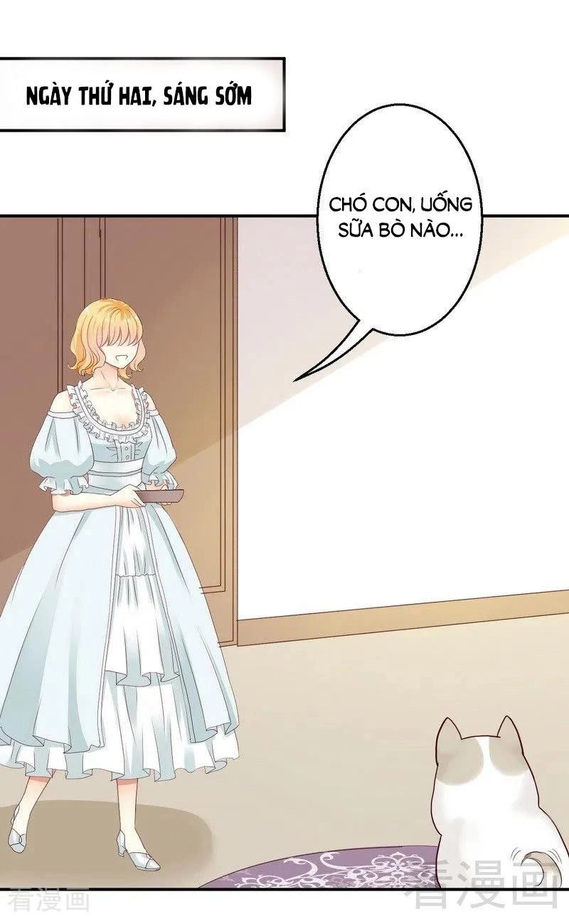 Y Tá Ngọt Ngào Của Hoàng Tử Chapter 28 - 22