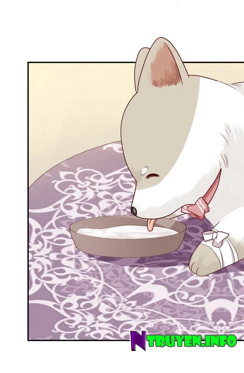 Y Tá Ngọt Ngào Của Hoàng Tử Chapter 28 - 23