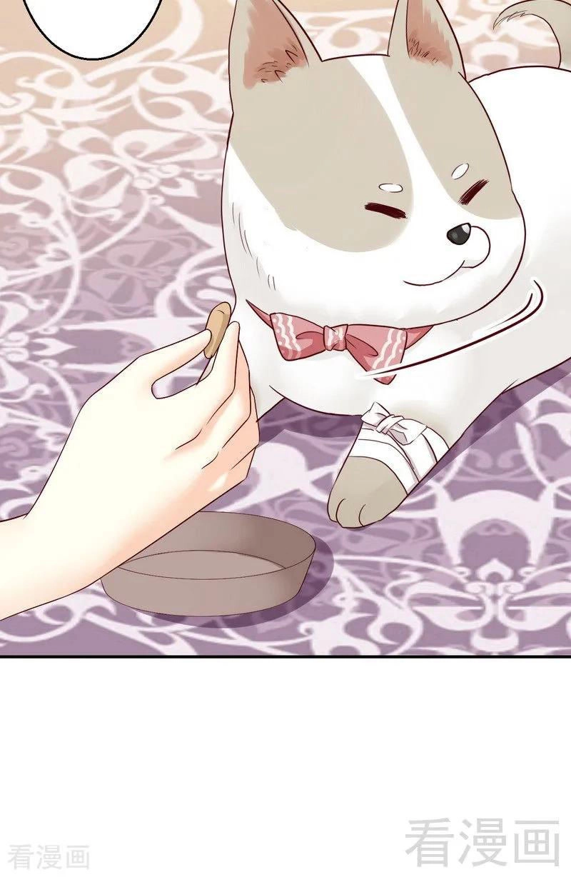 Y Tá Ngọt Ngào Của Hoàng Tử Chapter 28 - 26