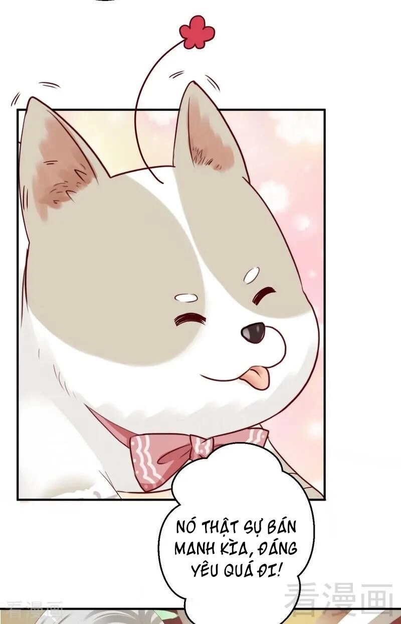 Y Tá Ngọt Ngào Của Hoàng Tử Chapter 30 - 19