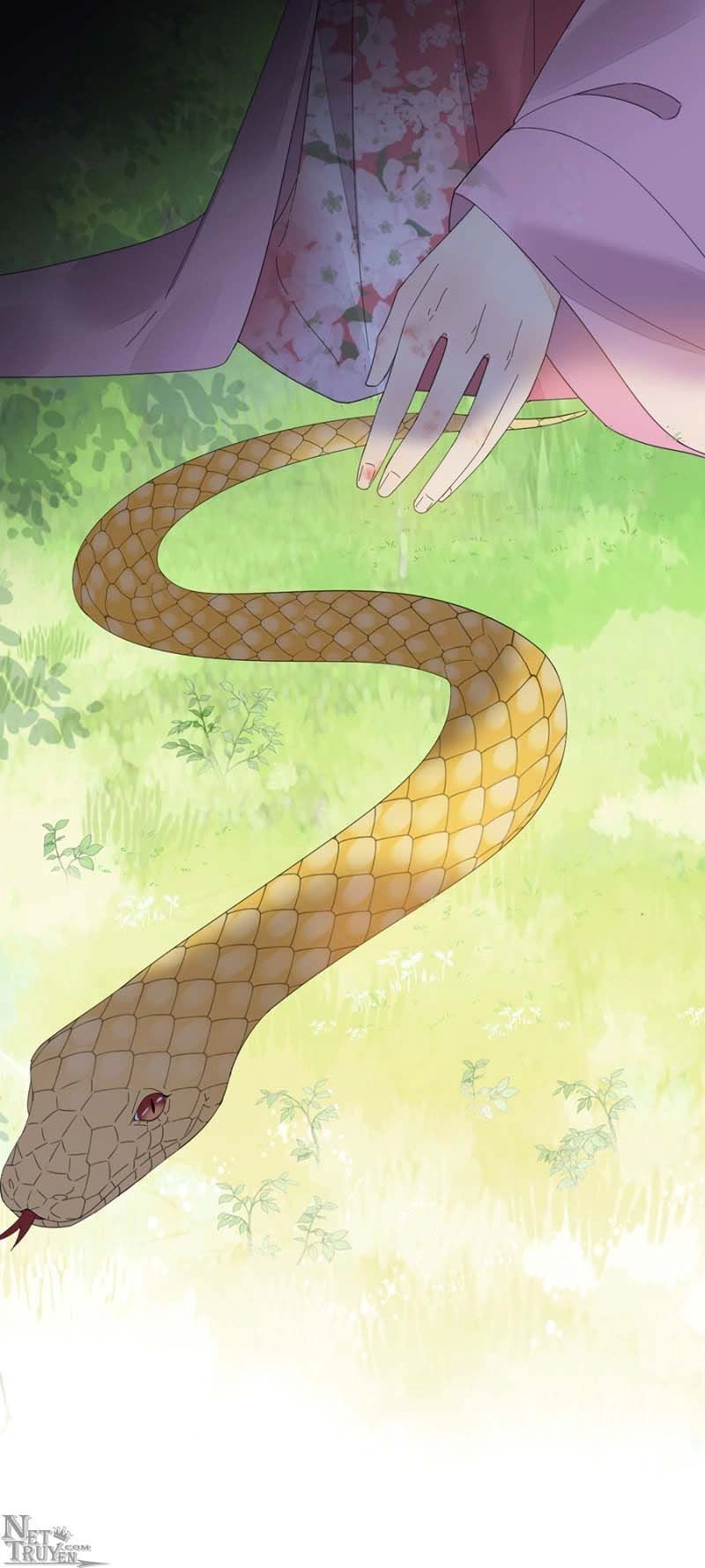 Dục Hỏa Độc Phi Chapter 104 - 9